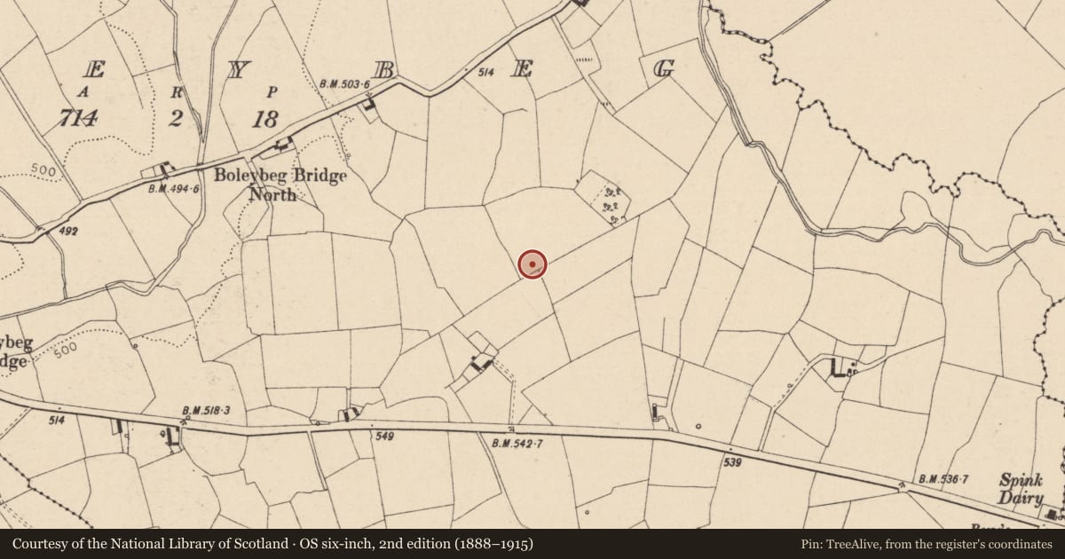 Ordnance Survey six-inch map, 2nd edition (1888–1915) covering the location of Moated site, Boleybeg, County Laois, with a pin at the register's coordinates