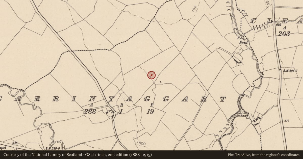 Ordnance Survey six-inch map, 2nd edition (1888–1915) covering the location of Earthwork, Garrintaggart, County Laois, with a pin at the register's coordinates
