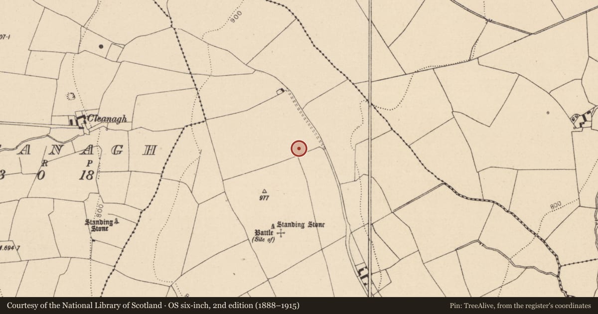 Ordnance Survey six-inch map, 2nd edition (1888–1915) covering the location of Enclosure, Knockbaun, County Laois, with a pin at the register's coordinates