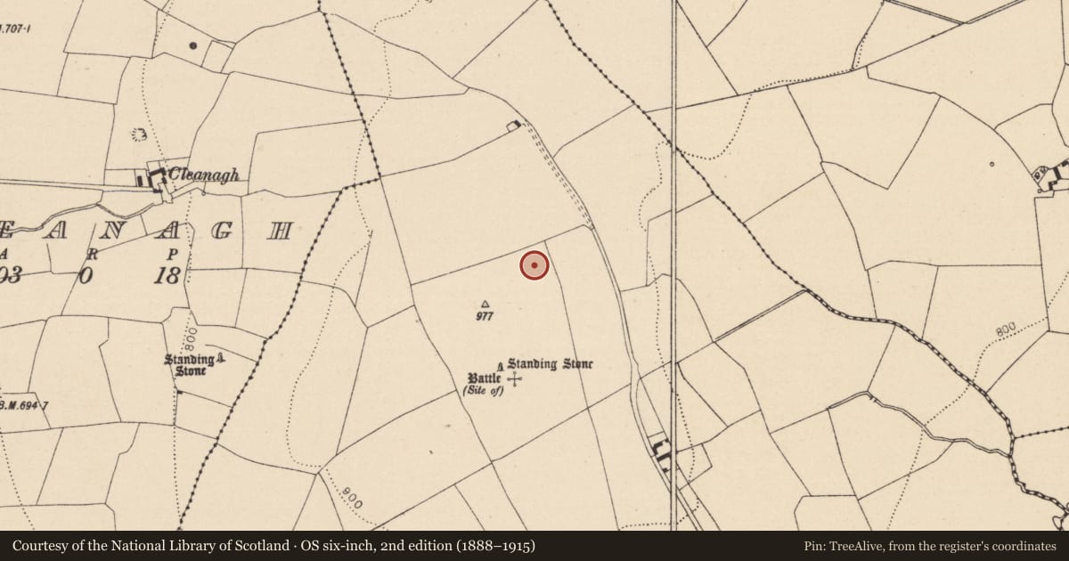 Ordnance Survey six-inch map, 2nd edition (1888–1915) covering the location of Linear earthwork, Knockbaun, County Laois, with a pin at the register's coordinates