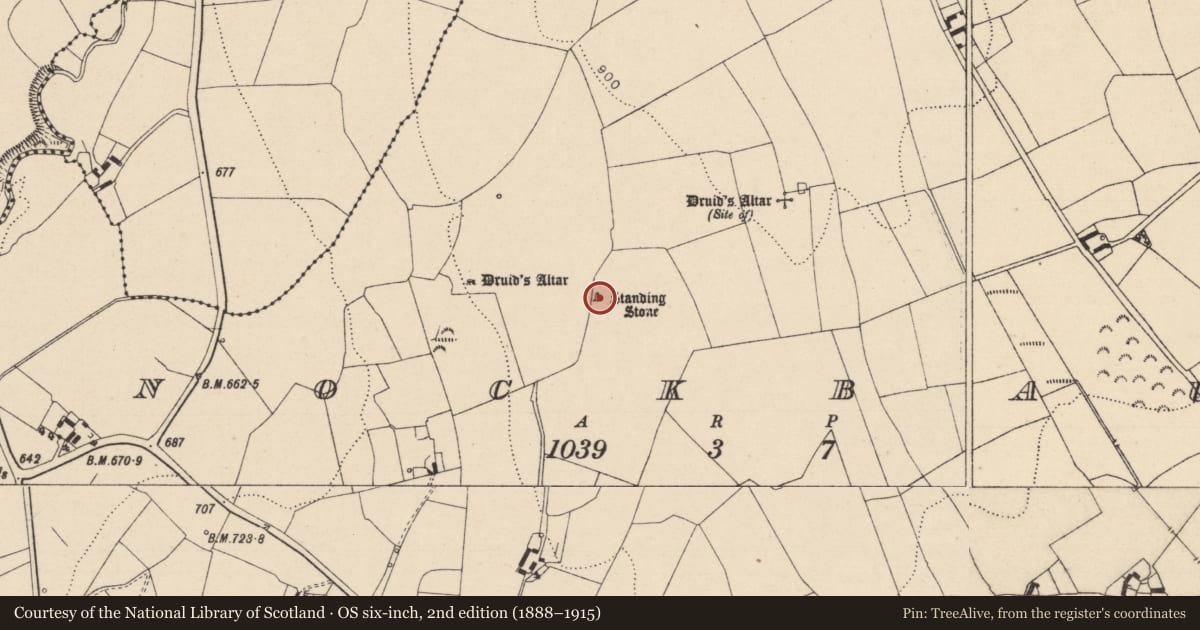 Ordnance Survey six-inch map, 2nd edition (1888–1915) covering the location of Standing stone, Knockbaun, County Laois, with a pin at the register's coordinates