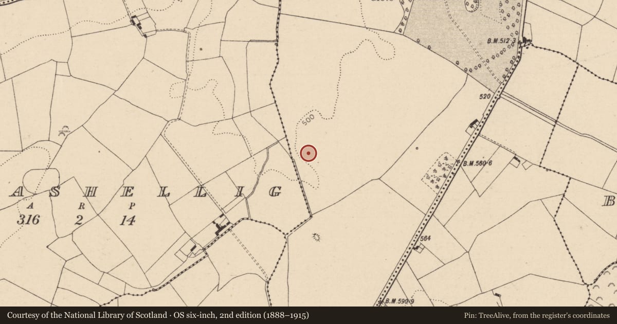 Ordnance Survey six-inch map, 2nd edition (1888–1915) covering the location of Enclosure, Rahanavannagh, County Laois, with a pin at the register's coordinates