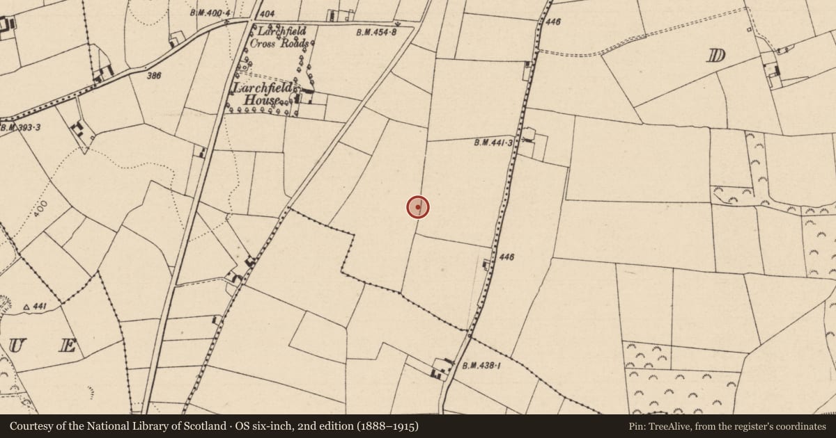 Ordnance Survey six-inch map, 2nd edition (1888–1915) covering the location of Enclosure, Ballyroan, County Laois, with a pin at the register's coordinates