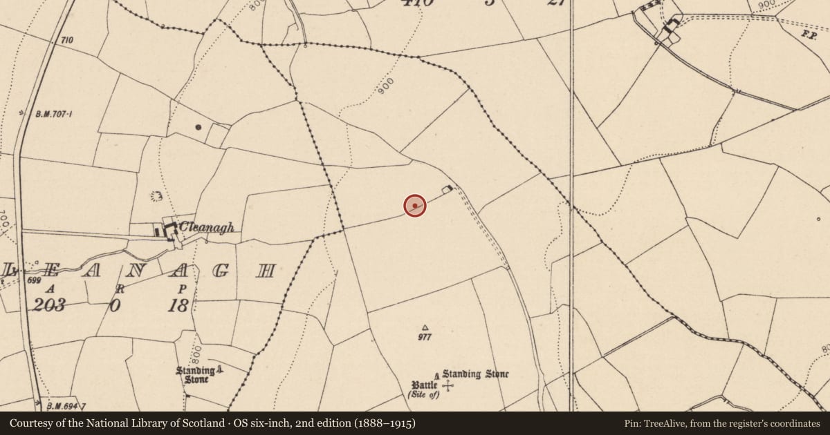 Ordnance Survey six-inch map, 2nd edition (1888–1915) covering the location of Earthwork, Knockbaun, County Laois, with a pin at the register's coordinates