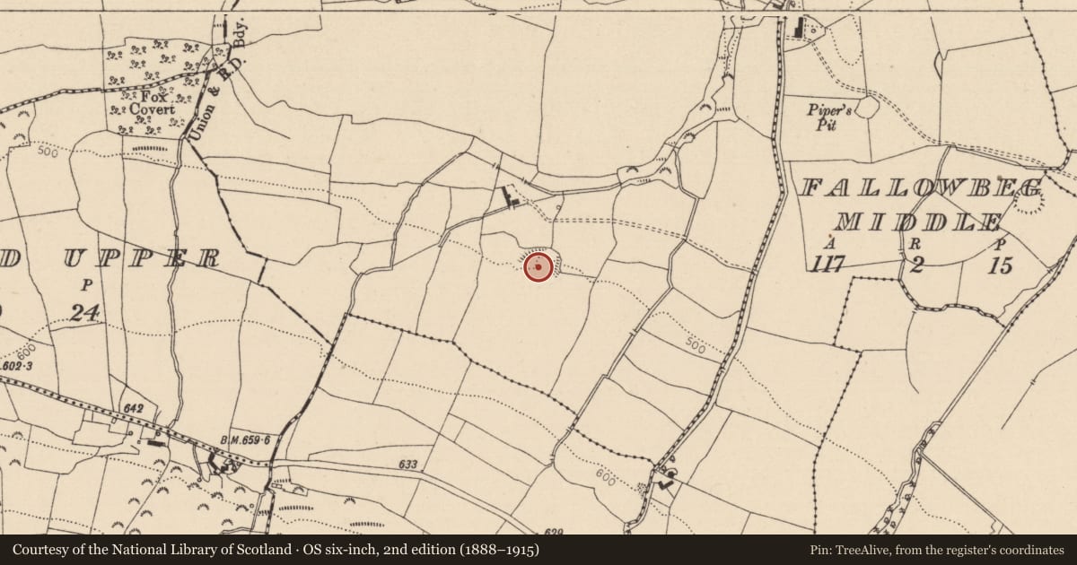 Ordnance Survey six-inch map, 2nd edition (1888–1915) covering the location of Ringfort - rath, Fallowbeg Lower, County Laois, with a pin at the register's coordinates