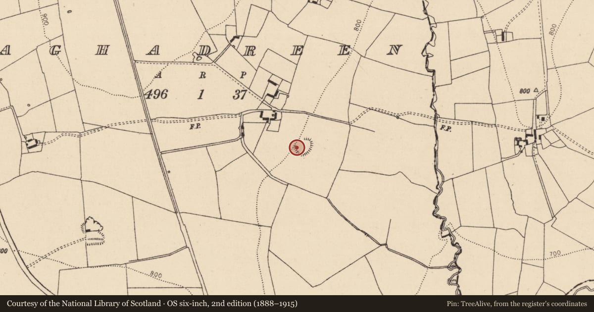 Ordnance Survey six-inch map, 2nd edition (1888–1915) covering the location of Enclosure, Aghadreen, County Laois, with a pin at the register's coordinates