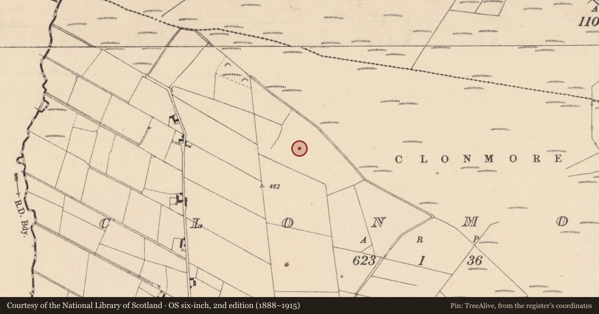 Ordnance Survey six-inch map, 2nd edition (1888–1915) covering the location of Ringfort - unclassified, Clonmore, County Laois, with a pin at the register's coordinates