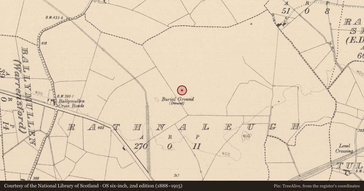 Ordnance Survey six-inch map, 2nd edition (1888–1915) covering the location of Field system, Rathnaleugh, County Laois, with a pin at the register's coordinates