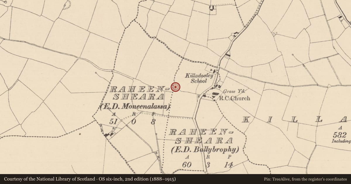 Ordnance Survey six-inch map, 2nd edition (1888–1915) covering the location of Ringfort - rath, Raheensheara, County Laois, with a pin at the register's coordinates