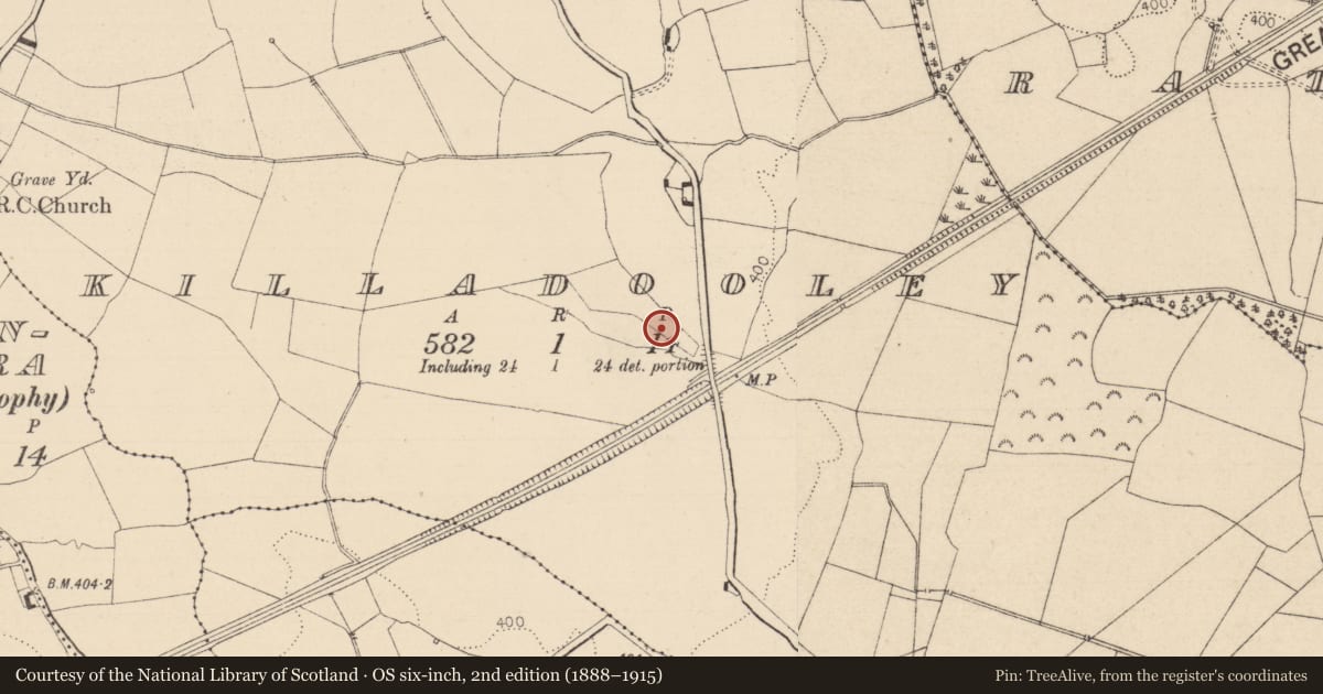 Ordnance Survey six-inch map, 2nd edition (1888–1915) covering the location of Enclosure, Killadooley (Detached portion), County Laois, with a pin at the register's coordinates