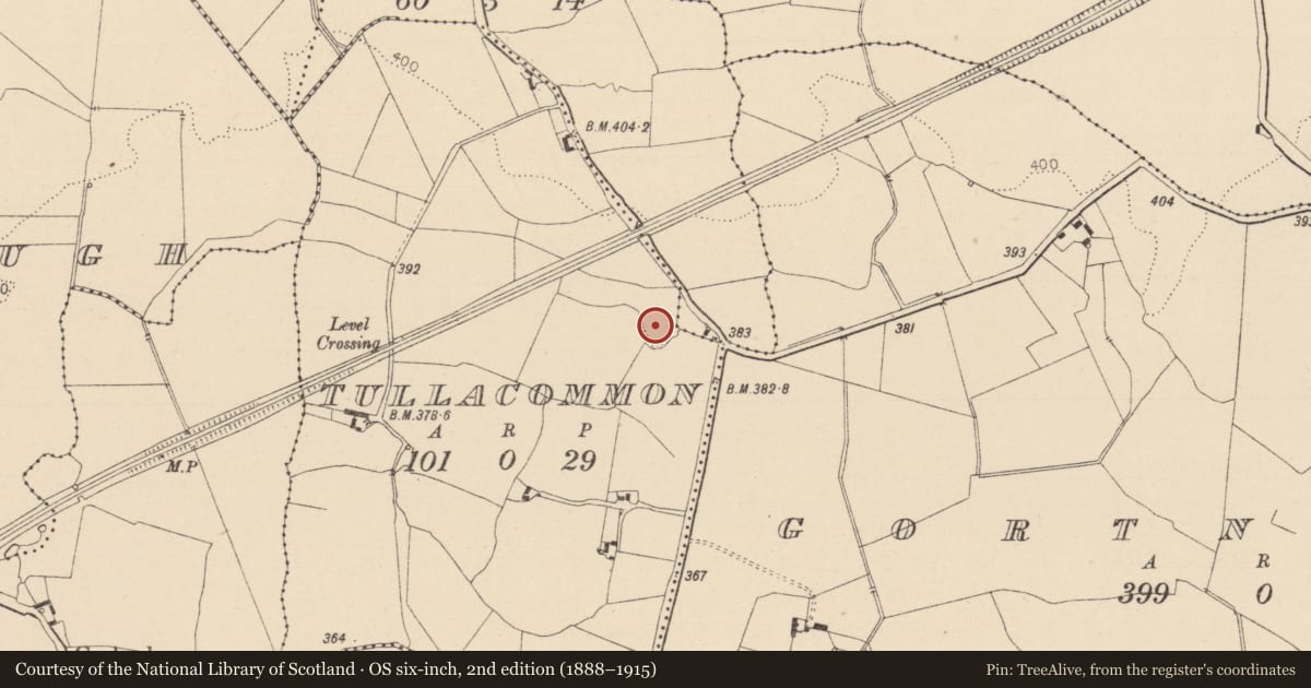 Ordnance Survey six-inch map, 2nd edition (1888–1915) covering the location of Ringfort - rath, Tullacommon, County Laois, with a pin at the register's coordinates