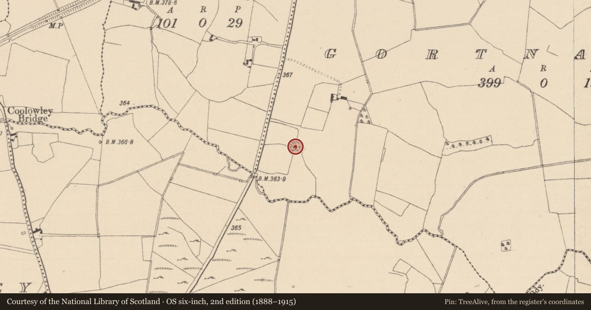 Ordnance Survey six-inch map, 2nd edition (1888–1915) covering the location of Ringfort - rath, Gortnalee, County Laois, with a pin at the register's coordinates