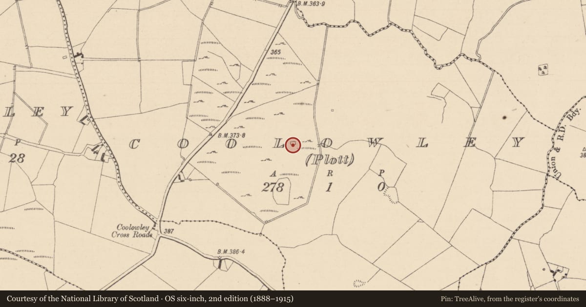 Ordnance Survey six-inch map, 2nd edition (1888–1915) covering the location of Church, Coolowley (Plott), County Laois, with a pin at the register's coordinates