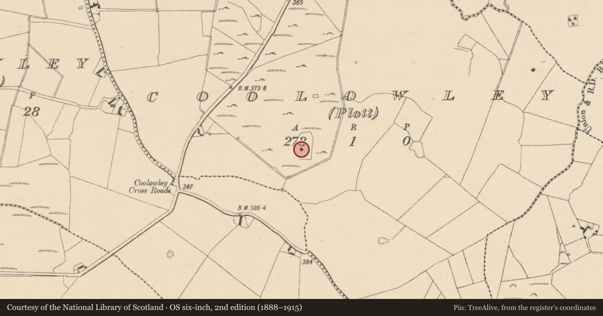 Ordnance Survey six-inch map, 2nd edition (1888–1915) covering the location of Burial ground, Coolowley (Plott), County Laois, with a pin at the register's coordinates