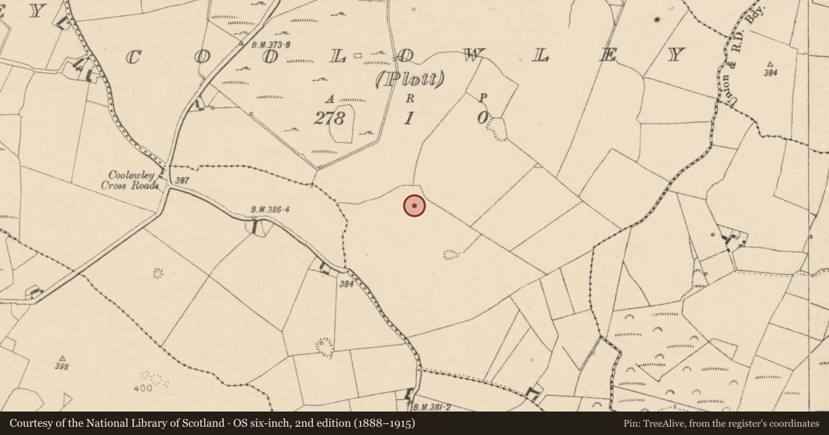 Ordnance Survey six-inch map, 2nd edition (1888–1915) covering the location of Moated site, Coolowley (Mason), County Laois, with a pin at the register's coordinates