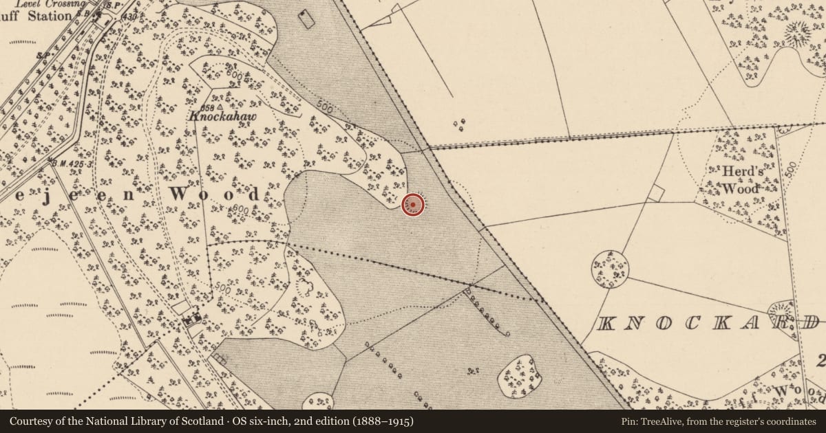 Ordnance Survey six-inch map, 2nd edition (1888–1915) covering the location of Enclosure, Knockahaw, County Laois, with a pin at the register's coordinates