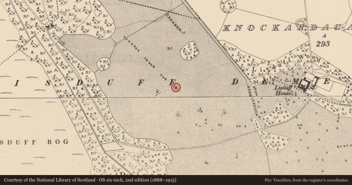 Ordnance Survey six-inch map, 2nd edition (1888–1915) covering the location of Enclosure, Lisduff, County Laois, with a pin at the register's coordinates
