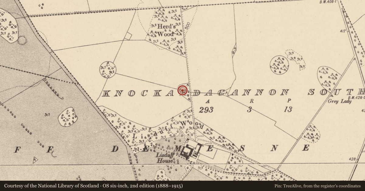 Ordnance Survey six-inch map, 2nd edition (1888–1915) covering the location of Enclosure, Knockardagannon South, County Laois, with a pin at the register's coordinates