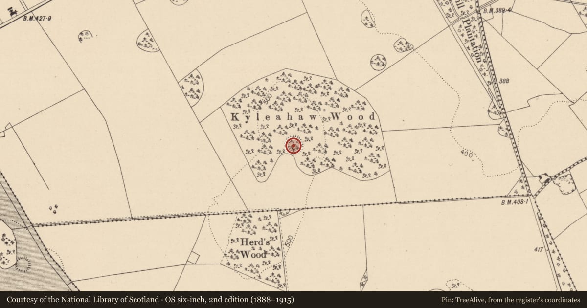Ordnance Survey six-inch map, 2nd edition (1888–1915) covering the location of Enclosure, Knockardagannon North, County Laois, with a pin at the register's coordinates