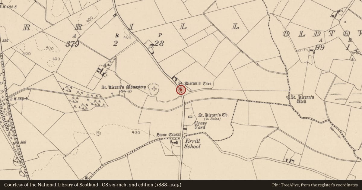 Ordnance Survey six-inch map, 2nd edition (1888–1915) covering the location of Ritual site - holy tree/bush, Errill, County Laois, with a pin at the register's coordinates