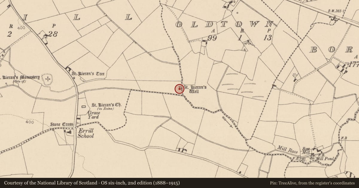 Ordnance Survey six-inch map, 2nd edition (1888–1915) covering the location of Ritual site - holy well, Errill, County Laois, with a pin at the register's coordinates