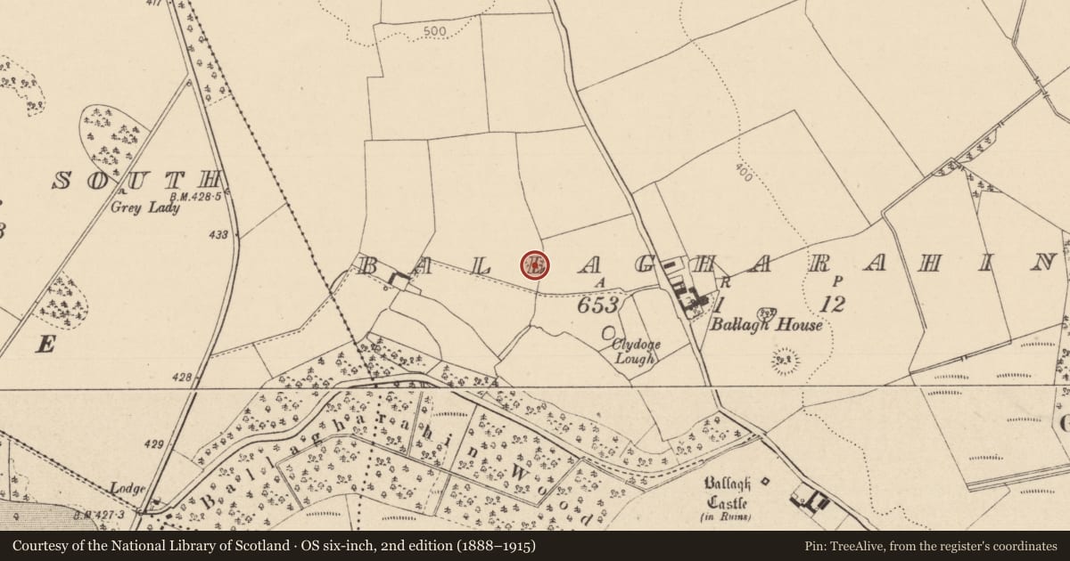 Ordnance Survey six-inch map, 2nd edition (1888–1915) covering the location of Ringfort - rath, Ballagharahin, County Laois, with a pin at the register's coordinates