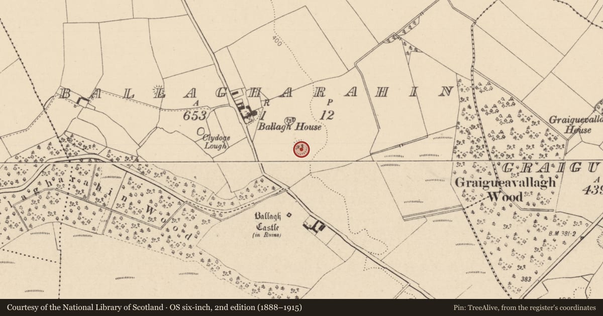 Ordnance Survey six-inch map, 2nd edition (1888–1915) covering the location of Ringfort - rath, Ballagharahin, County Laois, with a pin at the register's coordinates