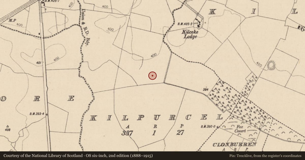 Ordnance Survey six-inch map, 2nd edition (1888–1915) covering the location of Field system, Kilpurcel, County Laois, with a pin at the register's coordinates