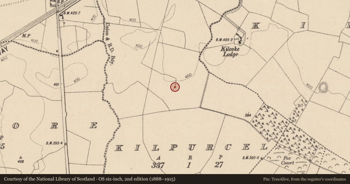 Ordnance Survey six-inch map, 2nd edition (1888–1915) covering the location of Road - road/trackway, Kilpurcel, County Laois, with a pin at the register's coordinates