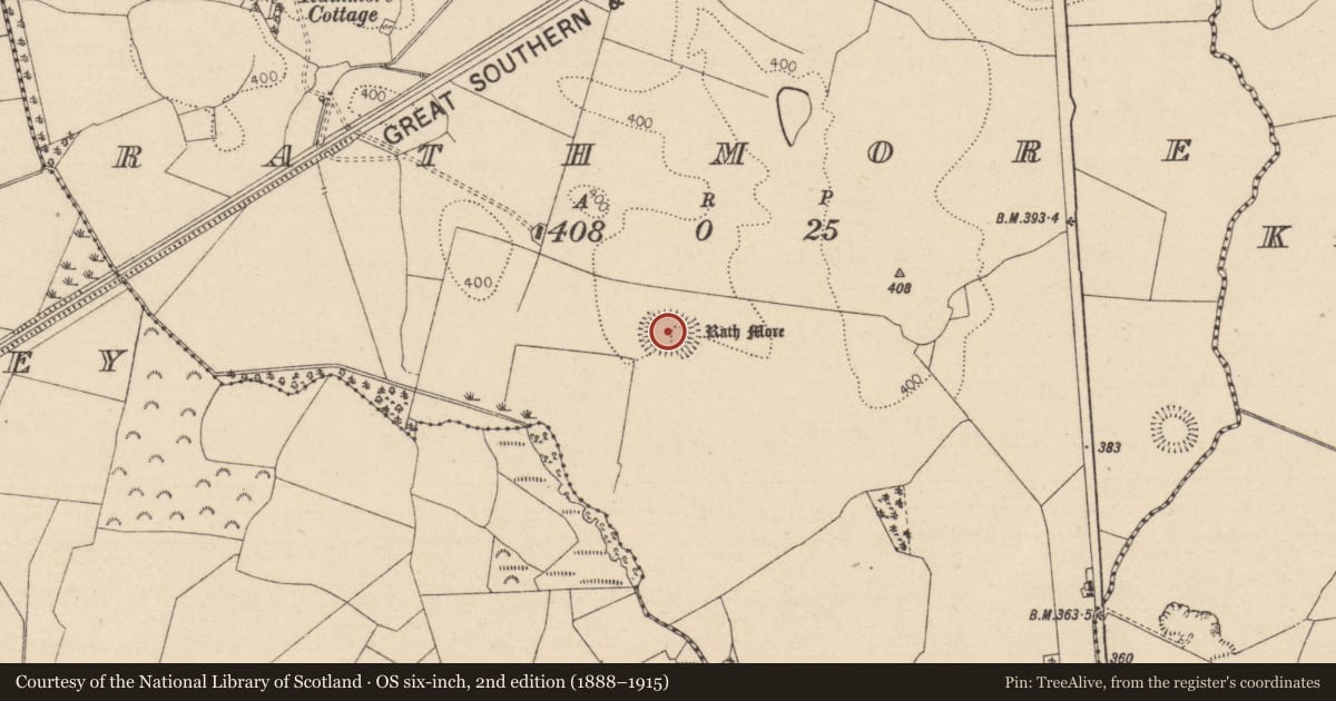 Ordnance Survey six-inch map, 2nd edition (1888–1915) covering the location of Ringfort - rath, Rathmore, County Laois, with a pin at the register's coordinates