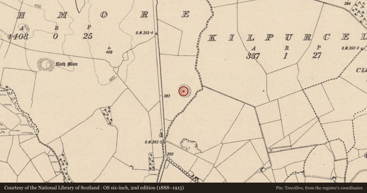 Ordnance Survey six-inch map, 2nd edition (1888–1915) covering the location of Ringfort - rath, Rathmore, County Laois, with a pin at the register's coordinates
