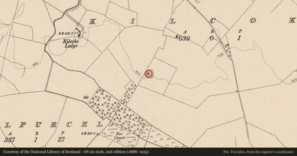 Ordnance Survey six-inch map, 2nd edition (1888–1915) covering the location of Enclosure, Kilcoke, County Laois, with a pin at the register's coordinates