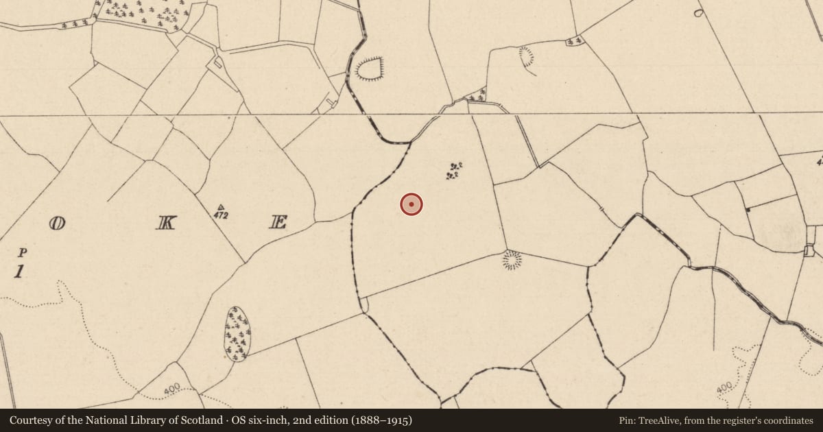 Ordnance Survey six-inch map, 2nd edition (1888–1915) covering the location of Burial ground, Kildellig, County Laois, with a pin at the register's coordinates