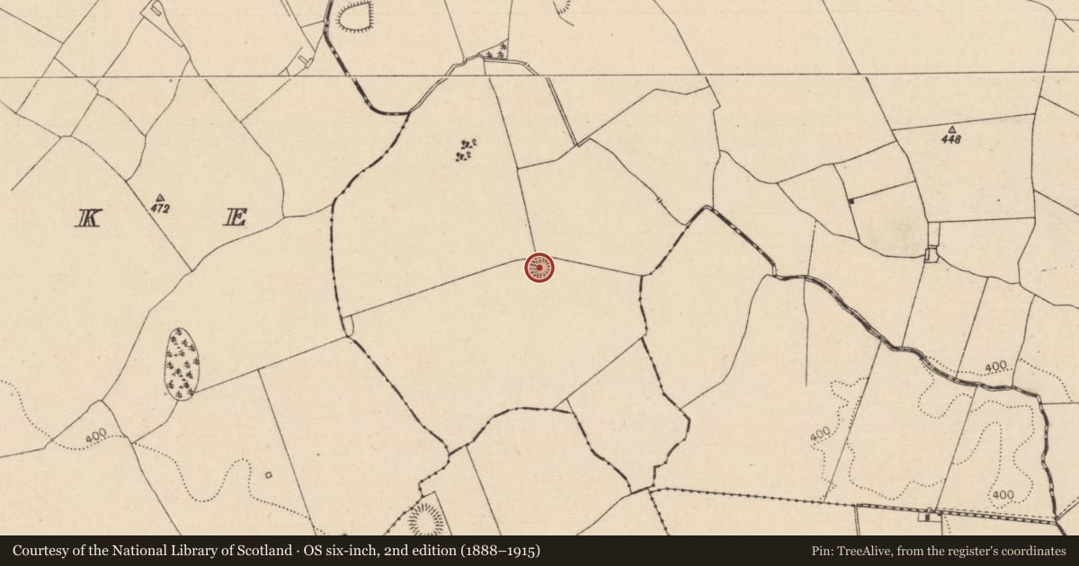 Ordnance Survey six-inch map, 2nd edition (1888–1915) covering the location of Ringfort - rath, Kildellig, County Laois, with a pin at the register's coordinates