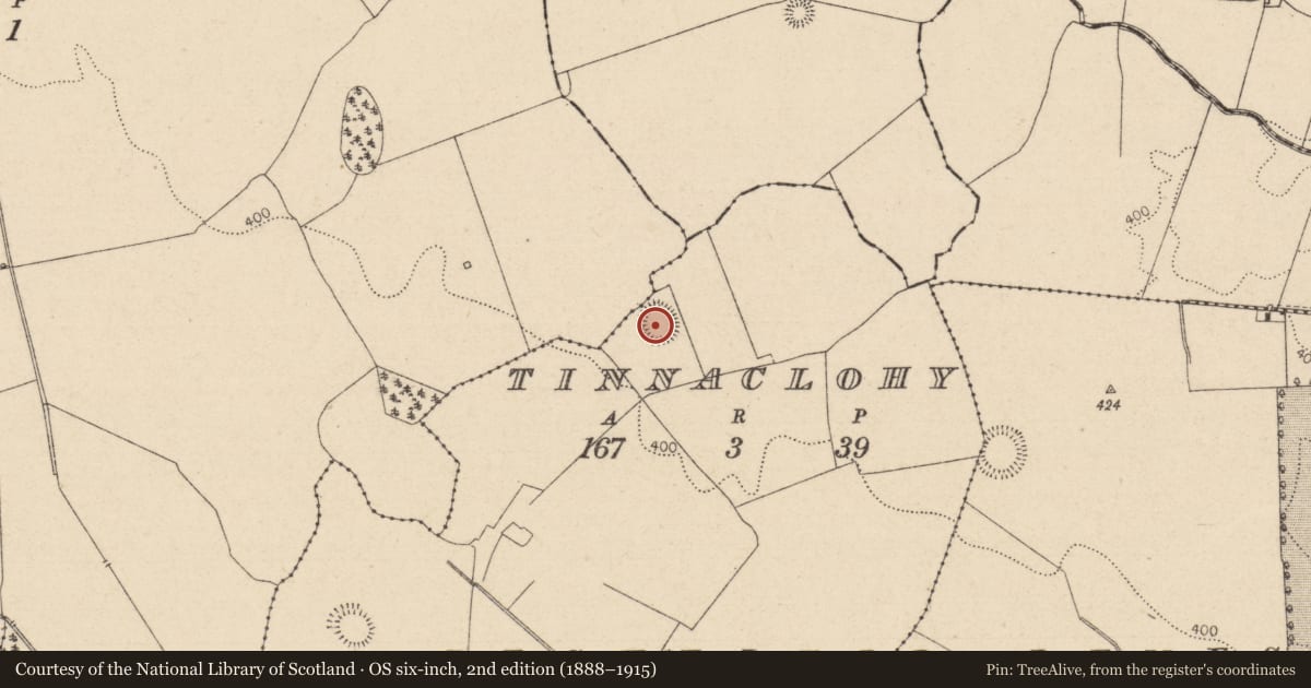 Ordnance Survey six-inch map, 2nd edition (1888–1915) covering the location of Ringfort - rath, Tinnaclohy, County Laois, with a pin at the register's coordinates