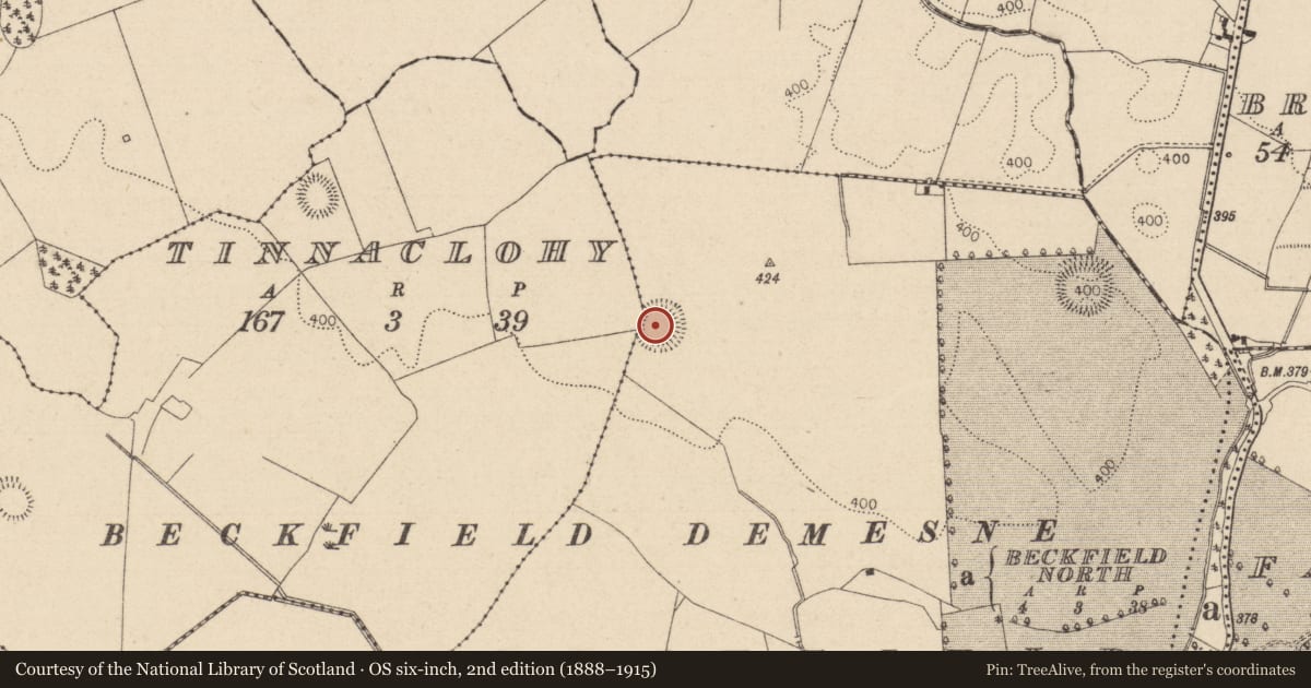 Ordnance Survey six-inch map, 2nd edition (1888–1915) covering the location of Enclosure, Beckfield, Tinnaclohy, County Laois, with a pin at the register's coordinates
