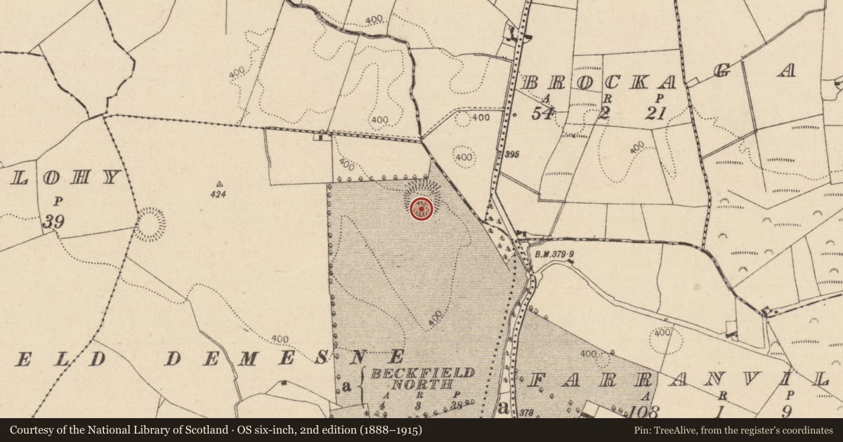 Ordnance Survey six-inch map, 2nd edition (1888–1915) covering the location of Ringfort - rath, Beckfield, County Laois, with a pin at the register's coordinates