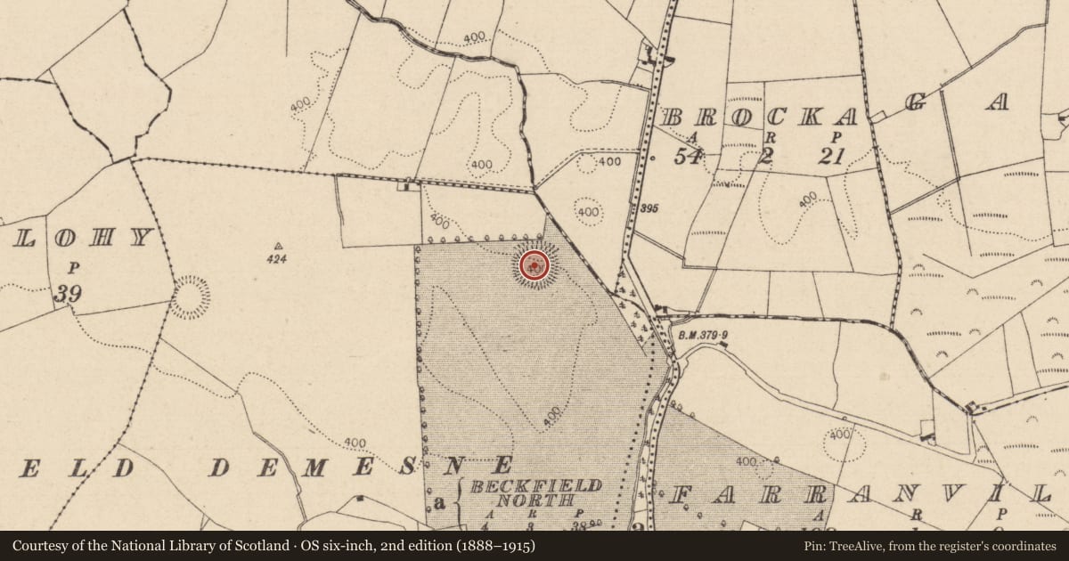 Ordnance Survey six-inch map, 2nd edition (1888–1915) covering the location of Hut site, Beckfield, County Laois, with a pin at the register's coordinates