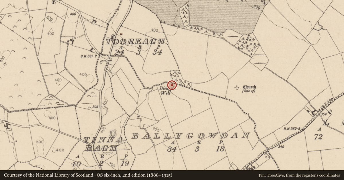 Ordnance Survey six-inch map, 2nd edition (1888–1915) covering the location of Ritual site - holy well, Ballygowdan, County Laois, with a pin at the register's coordinates