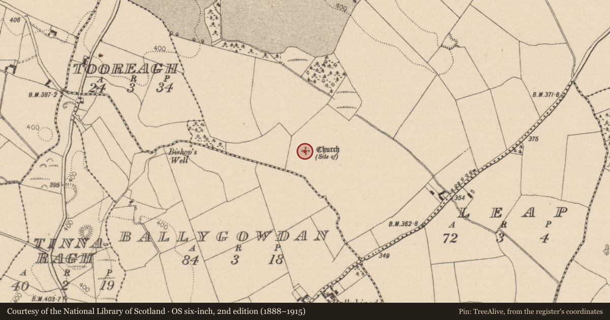 Ordnance Survey six-inch map, 2nd edition (1888–1915) covering the location of Church, Cuffsborough, County Laois, with a pin at the register's coordinates
