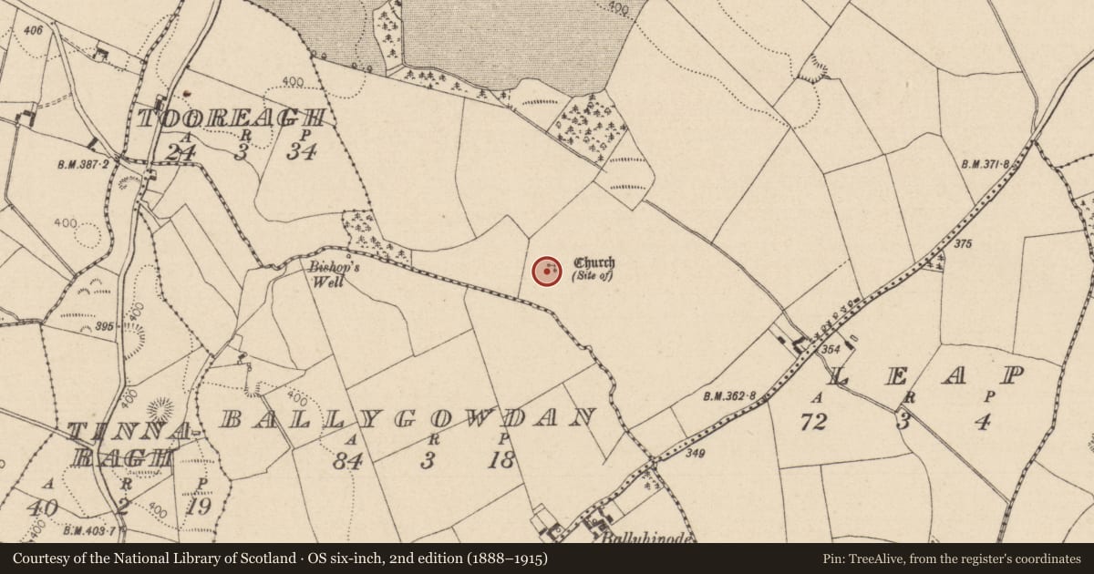 Ordnance Survey six-inch map, 2nd edition (1888–1915) covering the location of Enclosure, Cuffsborough, County Laois, with a pin at the register's coordinates