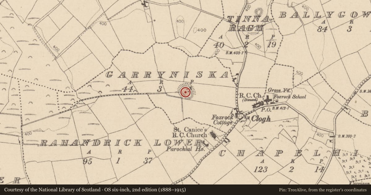 Ordnance Survey six-inch map, 2nd edition (1888–1915) covering the location of Ringfort - rath, Garryniska, County Laois, with a pin at the register's coordinates