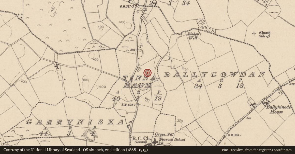 Ordnance Survey six-inch map, 2nd edition (1888–1915) covering the location of Ringfort - rath, Tinnaragh, County Laois, with a pin at the register's coordinates