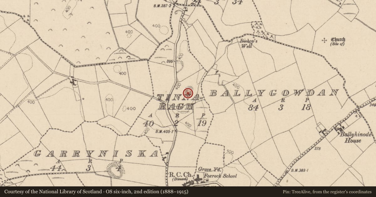 Ordnance Survey six-inch map, 2nd edition (1888–1915) covering the location of Penal Mass station, Tinnaragh, County Laois, with a pin at the register's coordinates