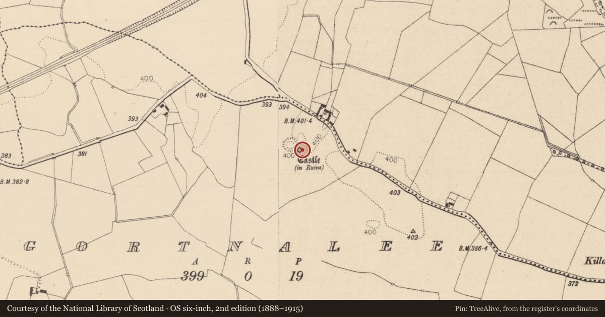 Ordnance Survey six-inch map, 2nd edition (1888–1915) covering the location of Castle - unclassified, Gortnalee, County Laois, with a pin at the register's coordinates