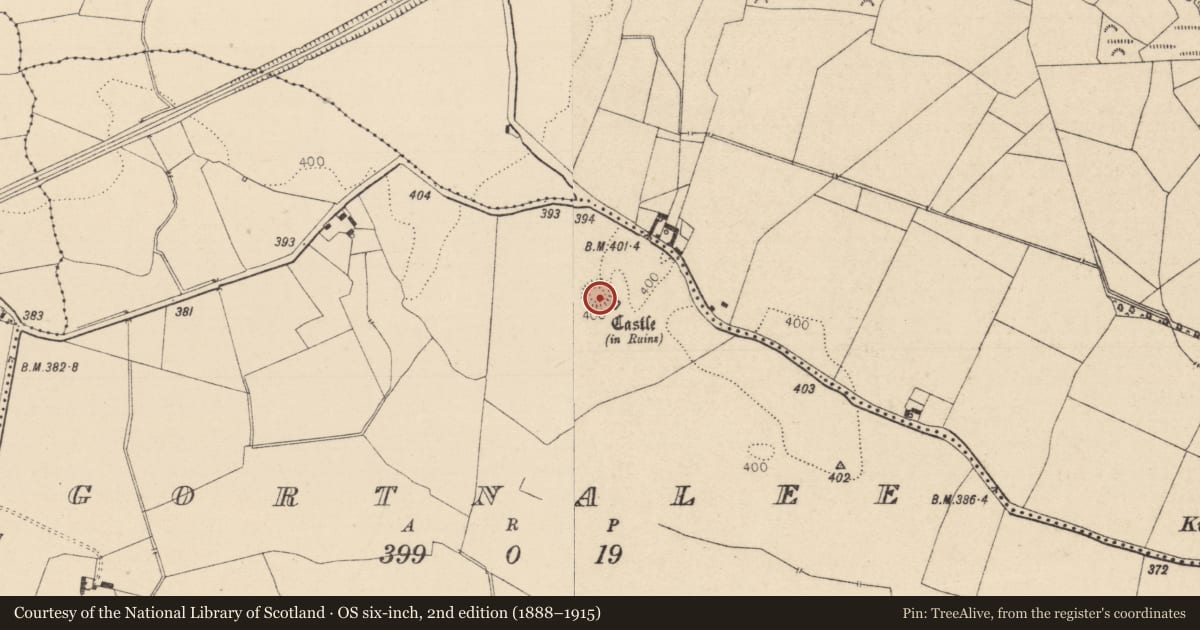 Ordnance Survey six-inch map, 2nd edition (1888–1915) covering the location of Ringfort - rath, Gortnalee, County Laois, with a pin at the register's coordinates