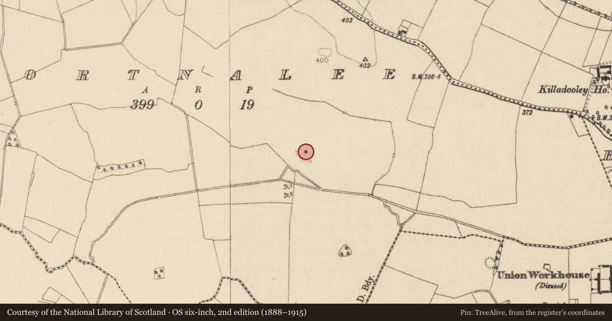 Ordnance Survey six-inch map, 2nd edition (1888–1915) covering the location of Enclosure, Gortnalee, County Laois, with a pin at the register's coordinates