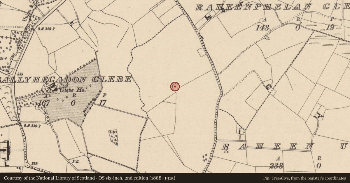 Ordnance Survey six-inch map, 2nd edition (1888–1915) covering the location of Enclosure, Donaghmore, County Laois, with a pin at the register's coordinates