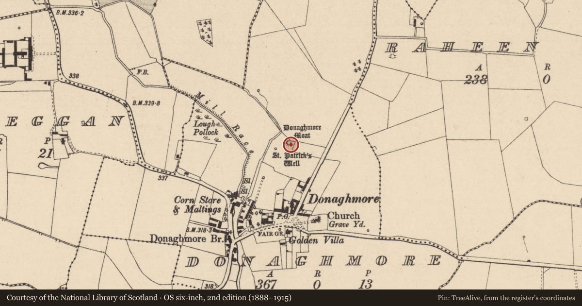 Ordnance Survey six-inch map, 2nd edition (1888–1915) covering the location of Castle - motte, Donaghmore, County Laois, with a pin at the register's coordinates