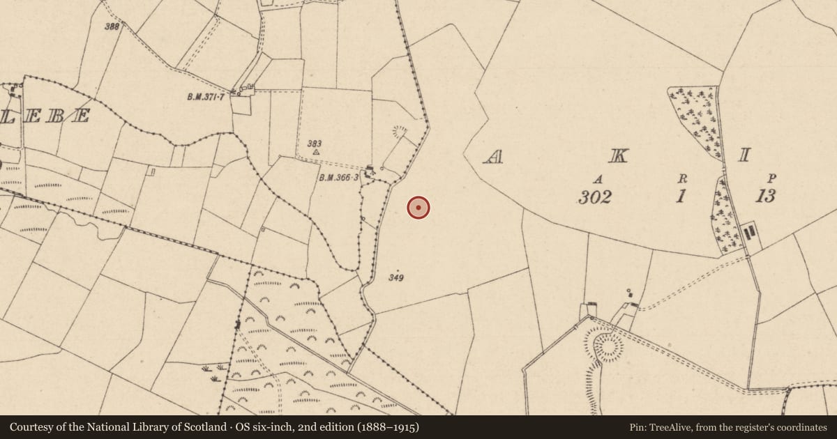 Ordnance Survey six-inch map, 2nd edition (1888–1915) covering the location of Church, Akip, County Laois, with a pin at the register's coordinates